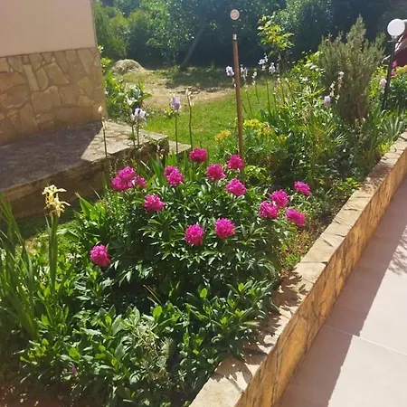 D Гостевой дом